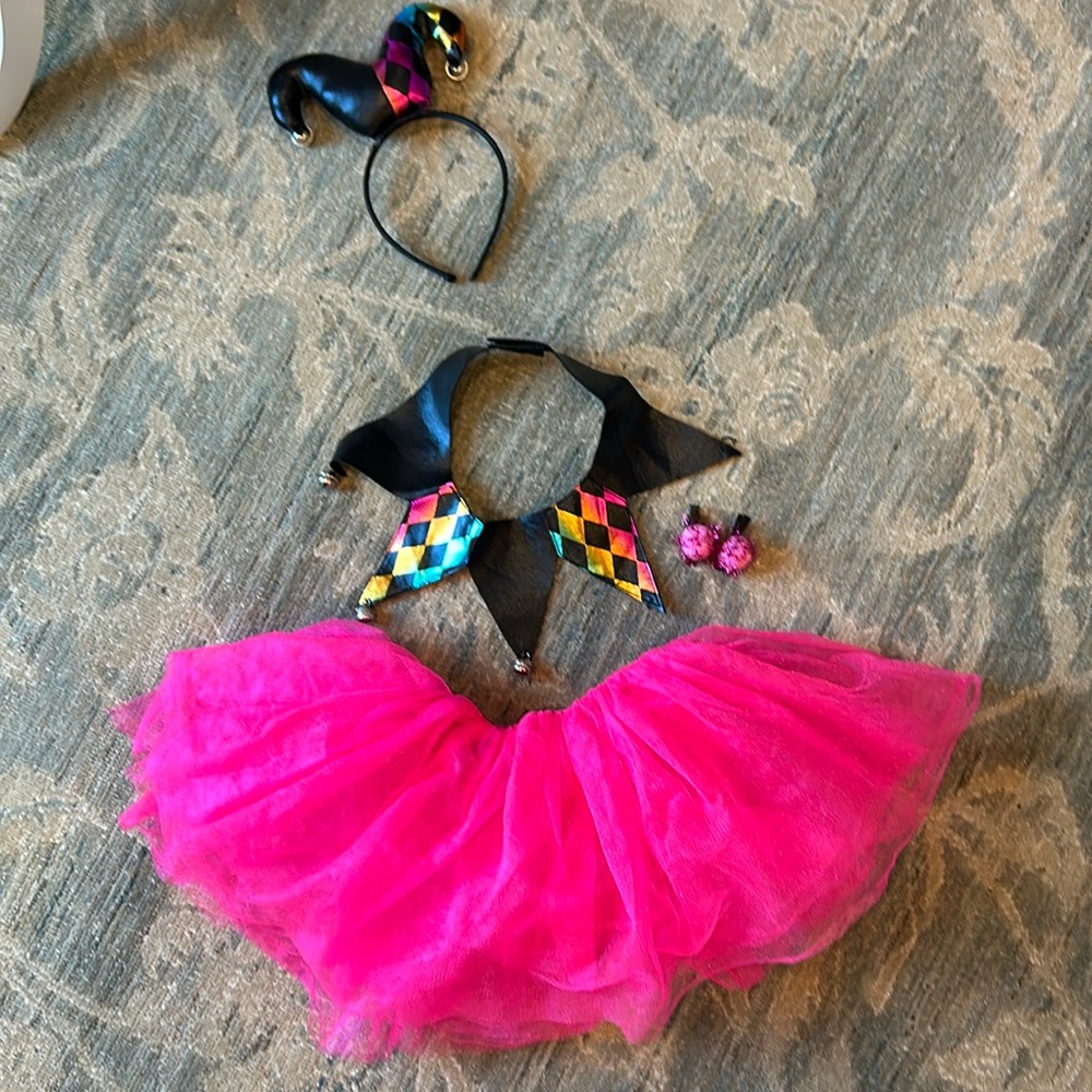 Jester Girls Costume